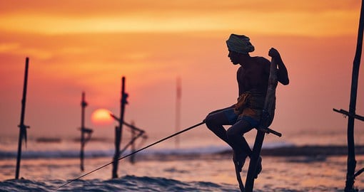 Witness the balancing act of Stilt Fishing from the shores of Galle