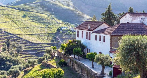 Visit one of the Port Houses in the Douro Valley to sample the regions most famous product