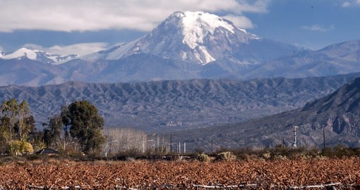 The Andes, the world's longest continental mountain range provide a dramatic backdrop to vineyards of Mendoza