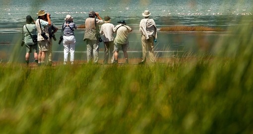 Group on a photography safari