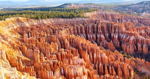 The otherworldly hoodoos of Bryce Canyon