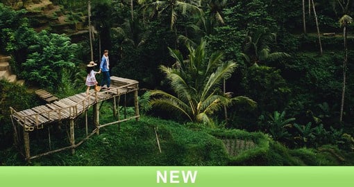 Enjoy walking amongst the ancient emerald green rice fields and forests of Bali