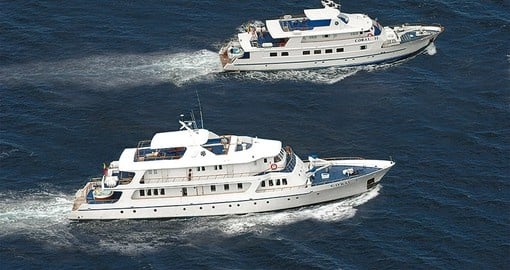 Sister ships Coral I and II are the perfect vessels for your Galapagos tour