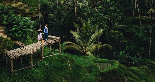 Explore the stunning natural beauty of the rice fields and forests of Bali