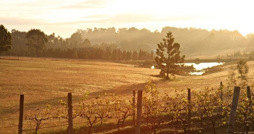 When planning and trips to Australia, a visit to the Hunter Valley should be included to experience one of Australia's premier  wine growing areas.