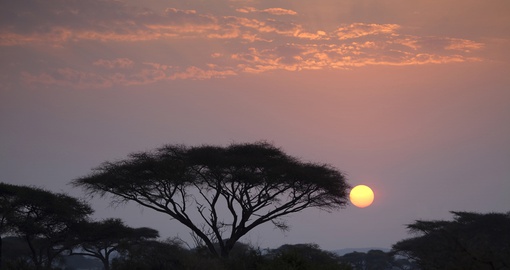 Sunset in Amboseli Park