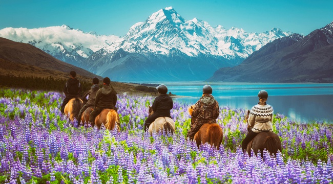 A group of travellers horseback riding in New Zealand.
