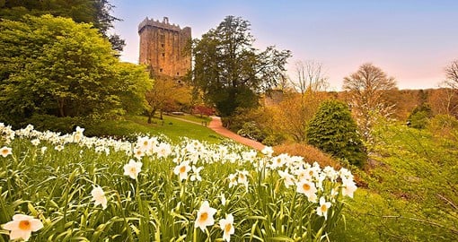 Visit Blarney Castle during your next Ireland vacation