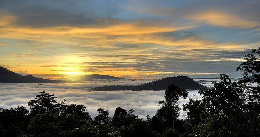 Danum Valley boasts some of the oldest rainforests in Borneo