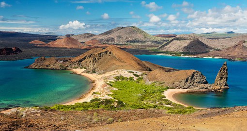 Composed of 127 islands, the Galapagos archipelago boasts a diversity of plant and animal species