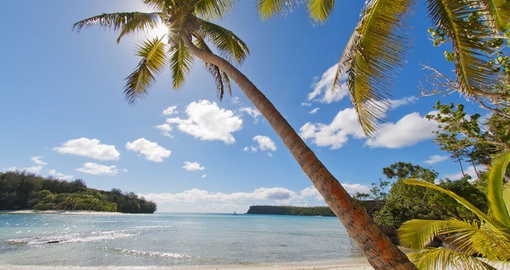 Beachside view of Tonga