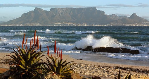 Start your South African Vacation in Cape Town, the Mother City features chic hotels, world-class restaurants and a thriving art scene