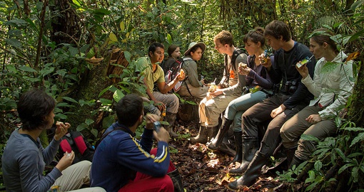 Explore the Amazon on your trip to Ecuador