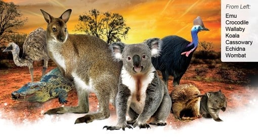 slack udstilling Alperne Australia Nature & Wildlife | Australia Vacations - 2021/22 | Goway