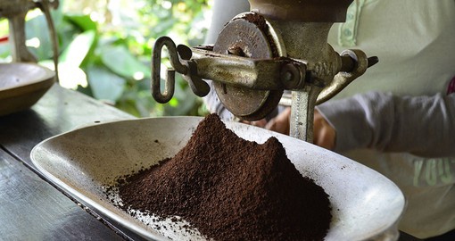 Freshly roasted coffee beans being ground at the Cafe Alfania coffee plantation