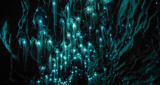 Admire the magic of the glowing Waitomo Caves