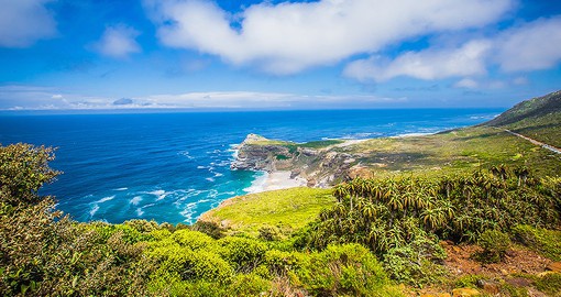 Visit Cape Point Nature Reserve for dramatic coastal scenery and ocean views