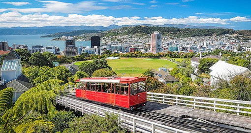 Explore Wellington and enjoy its beauty on your next New Zealand vacations.