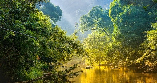 The Amazon rainforest stores up to 200 billion tons of carbon and is vital in fighting climate change