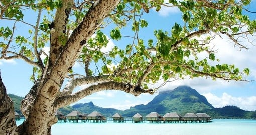 Best Vacation Bora Bora