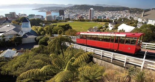 Explore the hills of Kelburn, Wellington, showing the top of the cable car line.