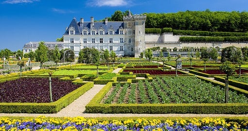 Stroll through historic gardens in the Loire Valley on your France Tour
