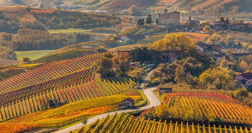 Italy vineyards with fall colours