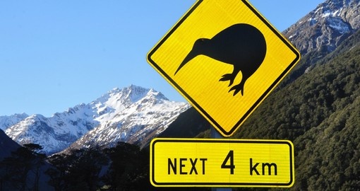 Sign boards in new Zealand