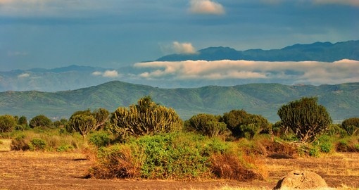 The African Savanna will spread out before you on your Uganda safari.