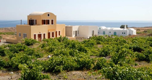 Wine has been produced on Santorini since the Middle Ages
