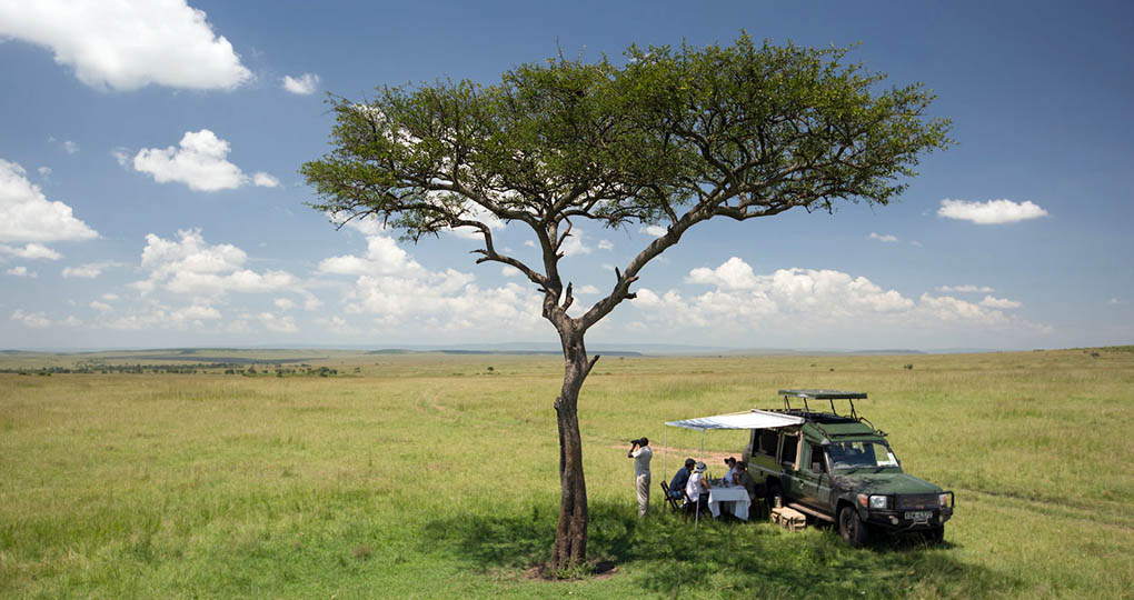 safari vehicle masai mara