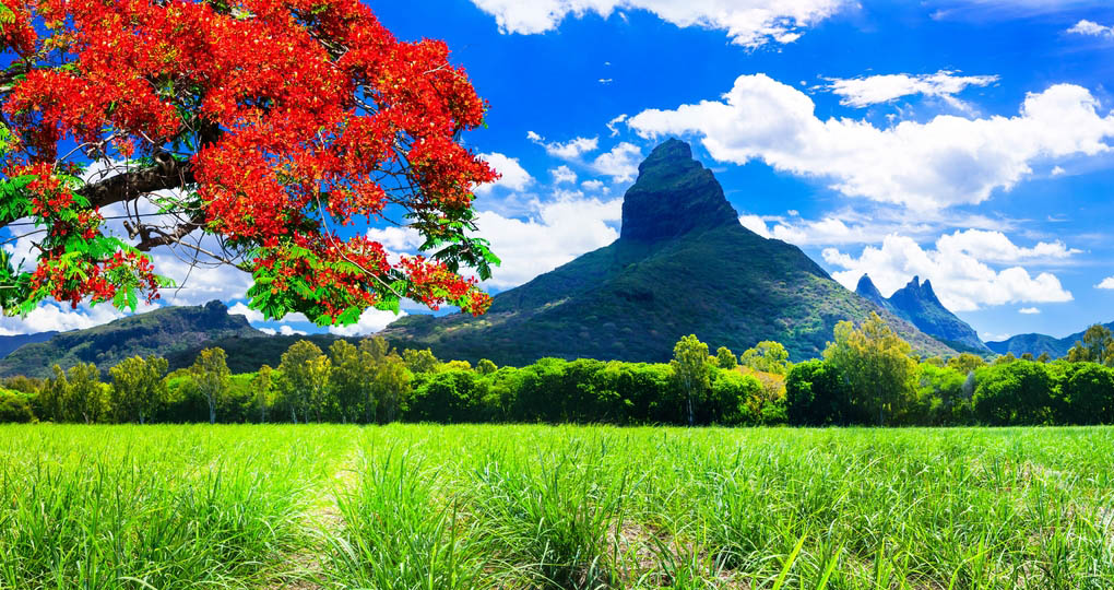 Mountain on Mauritius