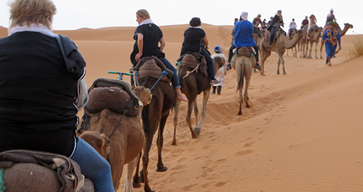 Morocco Camel Ride