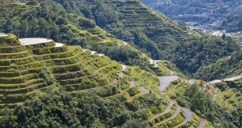 cascading rice terraces