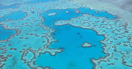 The spectacular Great Barrier Reef should be included on all trips to Australia.