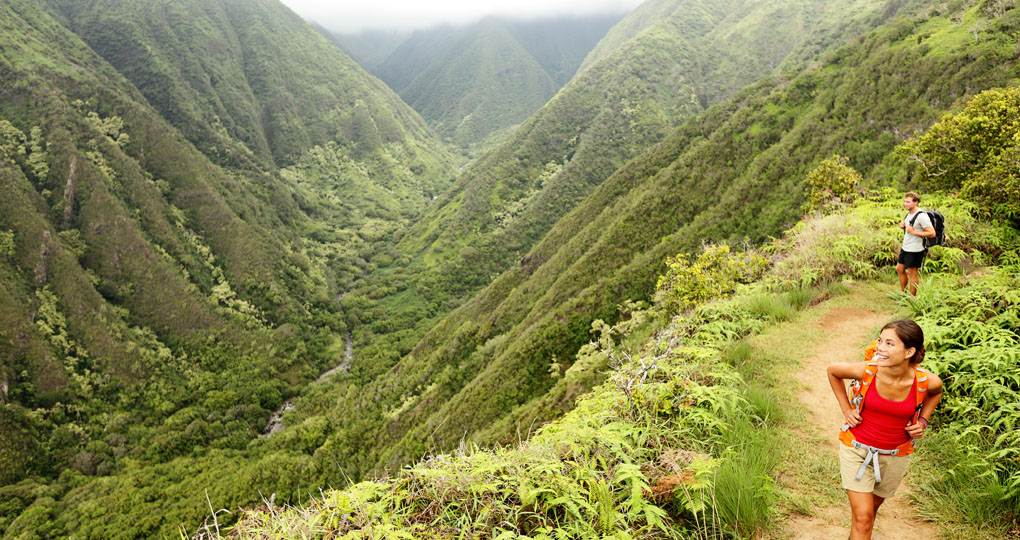 Green hills of Maui