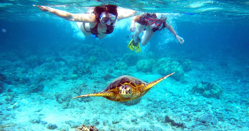 Two people snorkeling with a turtle in Belize.