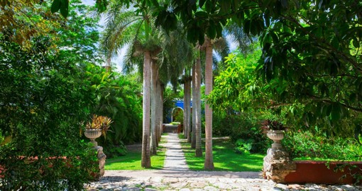 7 Day Haciendas of the Yucatan VIP Travel Package