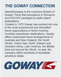 reviews goway travel